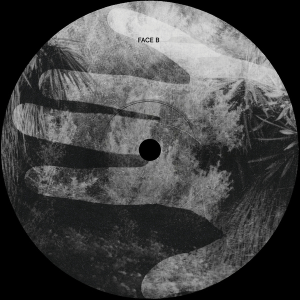 CHXIV021_3_600 Lost berries in the fields