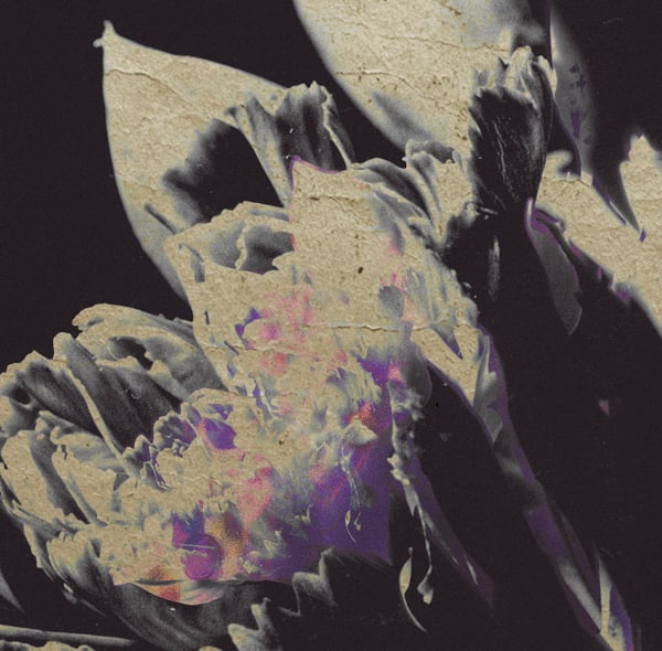 TRV10_1_600 moving silhouettes