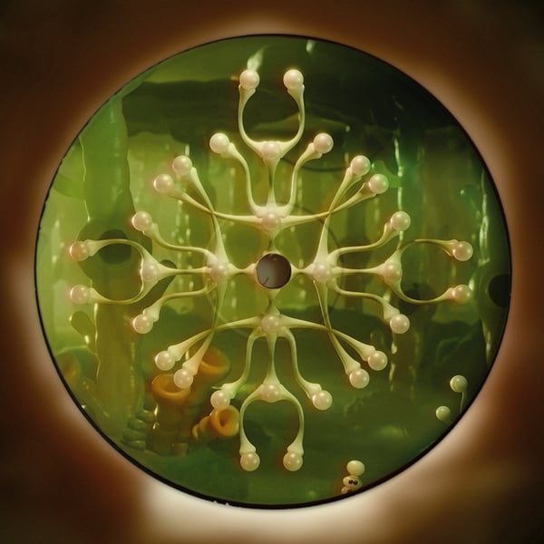 XP-00003_3_600 The Mist