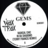 In Da Shadows (Terry Francis Remix) / The Key (Wax Trax Remix)