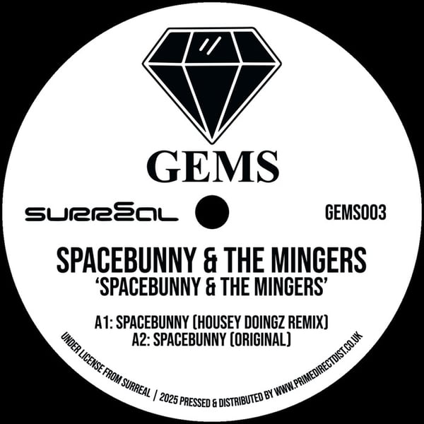 Spacebunny / Fancy A Shag
